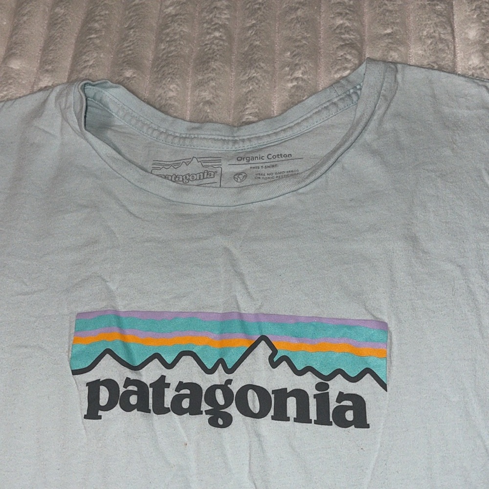 Patagonia Tee | Size Small - Picture 2 of 7